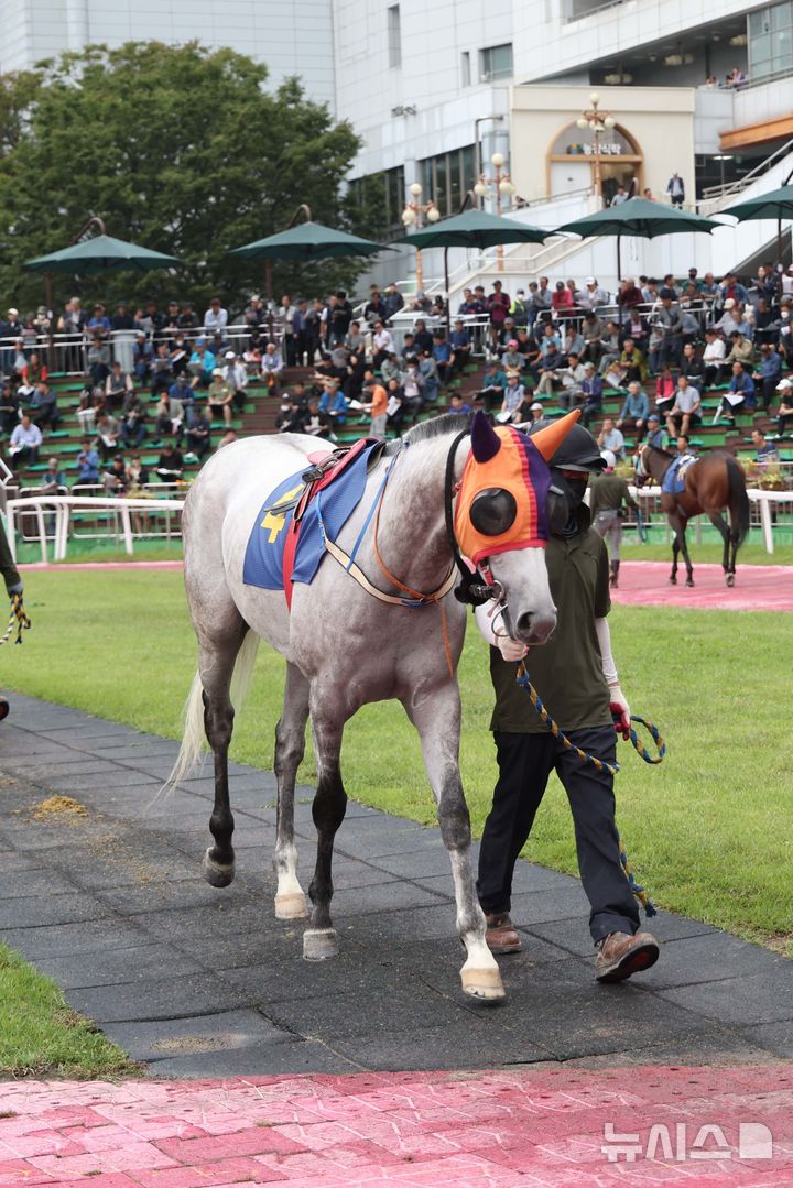 렛츠런파크 서울 경주와 프로야구 신인 발굴, 배드민턴 최강자 안세영의 도전