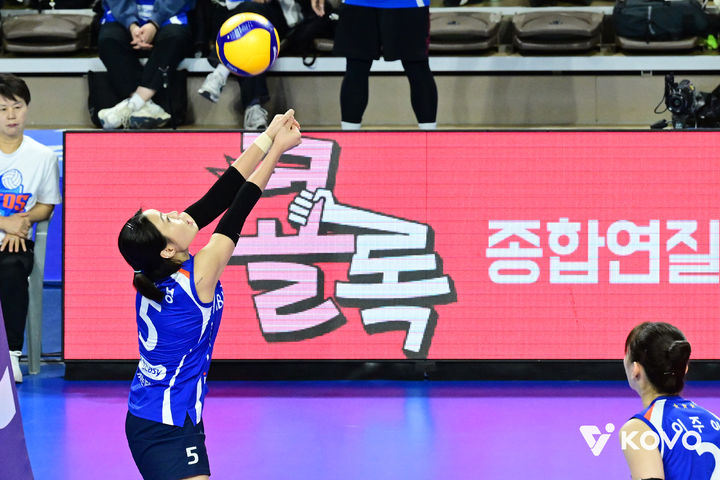 [오늘의 뉴스종합] 한국 스포츠의 새로운 도전과 성과, 다양한 종목에서의 활약