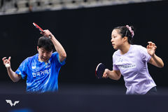 탁구 '황금 콤비' 임종훈-신유빈, 싱가포르 스매시 혼복 16강 직행