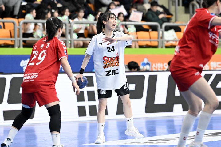 한국 스포츠, 다양한 종목에서의 성과로 주목받다