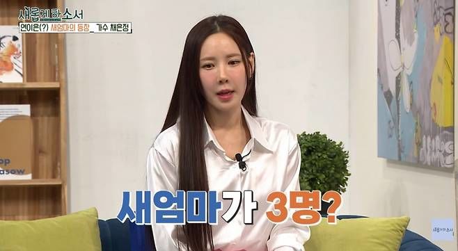 채은정 