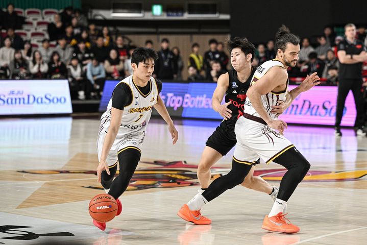 프로농구와 프로배구에서의 치열한 경쟁과 테니스의 새로운 도전