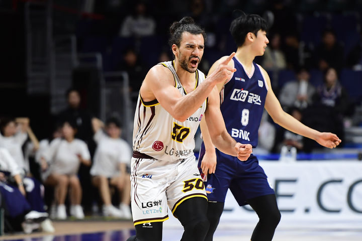 한국 스포츠, 농구와 배구에서의 연승 행진과 아이스하키의 세계선수권 도전