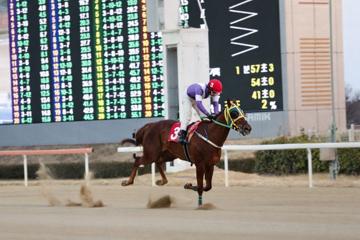 최시대 기수, 한국 경마 역대 6번째 900승 달성