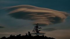 “사라짐은 끝이 아니다”…민병훈 개인전 ‘소멸’