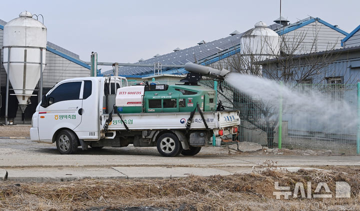 포천 산란중추 농장서 AI 확진…무허가·허위신고 적발에 방역 고삐