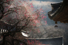 사랑을 알아 참 다행이다[박현주 아트에세이 ㉓]