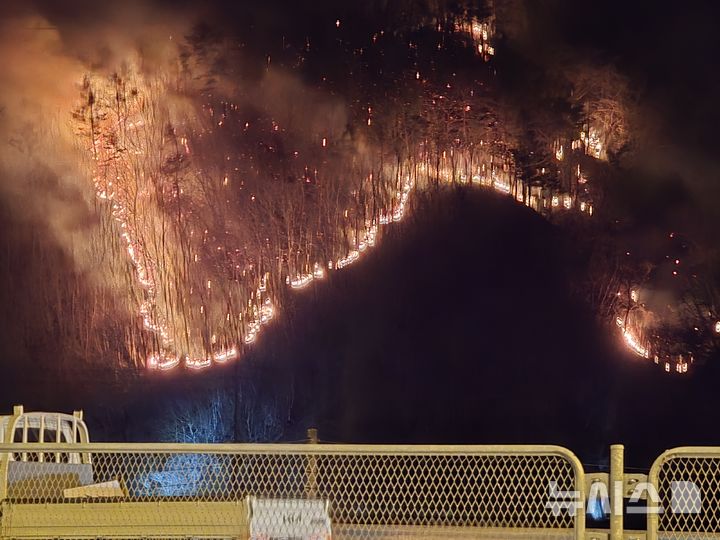 [속보]경주 문무대왕면 산불 재발화…강풍 속 진화 난항 웹사이트상위노출 사이트상위노출 홈페이지상위노출