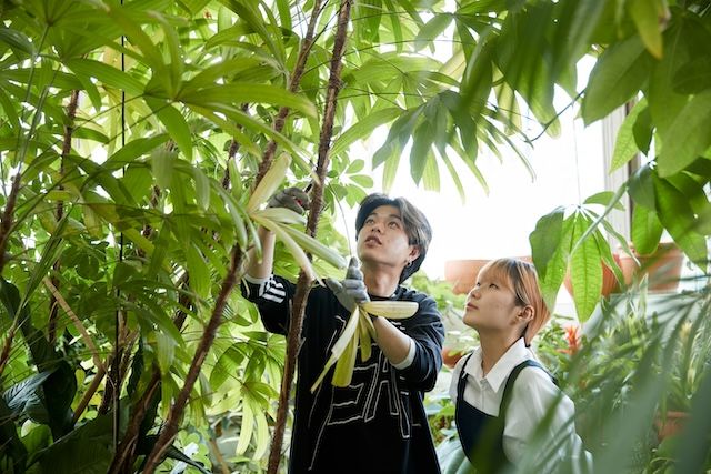 고령화 대응 '치유농업' 본격 키운다…종합계획 수립 착수