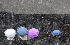 부산에도 눈 '펑펑' [뉴시스Pic]