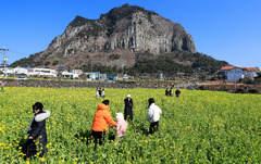 '우수' 제주, 대체로 맑고 일교차 커…낮 최고 13도