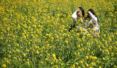 충북 대체로 맑고 일교차 커…낮 최고 19도