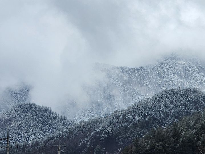 "반가운 눈"…강원 동해안 '건조특보' 53일만에 해제됐다