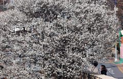 부산, 대체로 맑고 건조한 날씨…낮 최고 12도