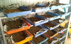 "농지 처방전 받으세요" 단양군, 과학영농 무료 지원