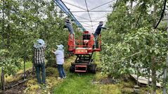 증평군, 23일부터 '일손더하기' 사업 추진…"인력난 해소"