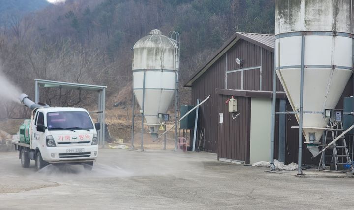 고령군, 돼지열병·조류인플루엔자 전방위 차단 방역 강화  