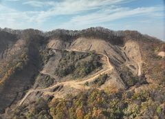 청주시 "수림대 20% 남기고 벌채하면 보조금 지급"