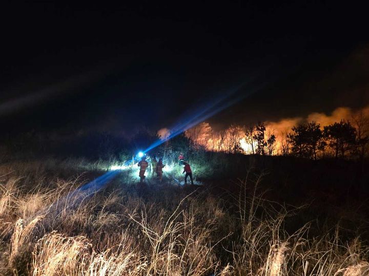 강원 고성 리조트 인근서 산불…대응 2단계 발령·주민 대피 