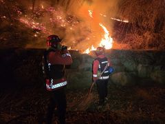 '추워서 불 피웠다' 단양서 산불 낸 치매 의심 80대 조사