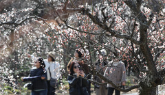 '키덜트 모여라"…주말동안 봄 인테리어 바꿔볼까[위클리쇼핑]