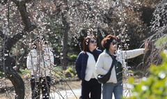 낮 최고 15도 포근…아침 최저 영하 4도 '일교차' 유의[내일날씨]