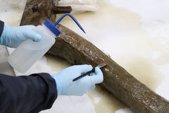 몽촌토성 집수지서 건져낸 고구려 쟁기 원형 보존 성공