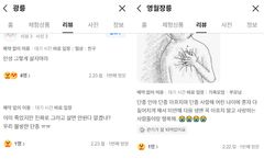 '단종' 영화 인기에…세조 묻힌 '광릉' 악플 명소됐네
