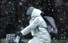 대구 대설주의보, 달성군 고갯길 등 도로 4곳 통제