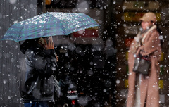 대구 함박눈 설국…달성·동구·군위 도로 8곳 통제 확대(종합)