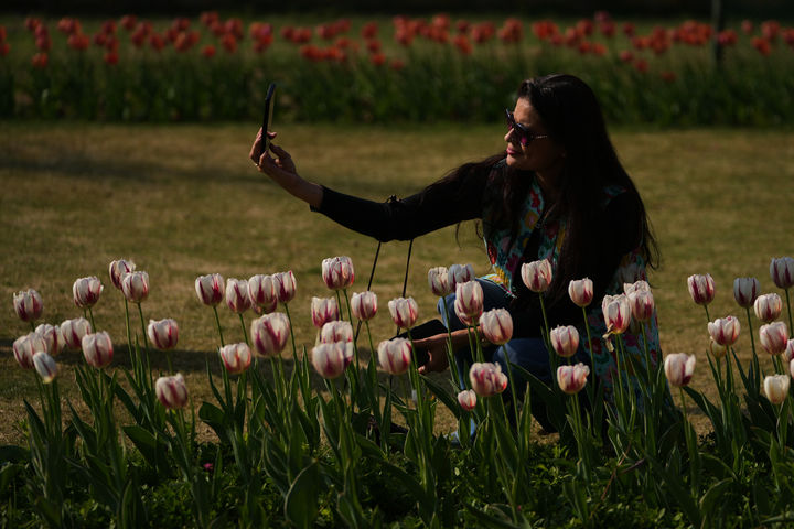 뉴델리 튤립 축제, 셀카 찍는 인도 여성