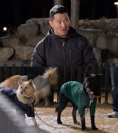 쇠줄 하나에 두 마리…강형욱 "이러다 죽는 개 많이 봐"