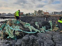 [제주소식]제주시 바다환경지킴이 해양정화 활동 개시 등