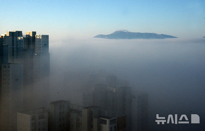 안개 가득 쌓인 도심