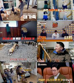"제작진도 물렸다"…반려견 5마리 가정에 강형욱 특단 조치