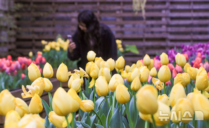 1일 대구·경북, 대체로 흐림…아침 -1도·한낮 14도