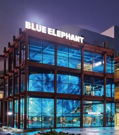 블루엘리펀트, 외형 확대에도 영업익 74%↓…법적리스크도 '부담'