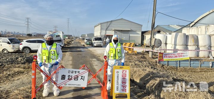 경기 고양 소 농장서 구제역 추가 발생…국내 세 번째