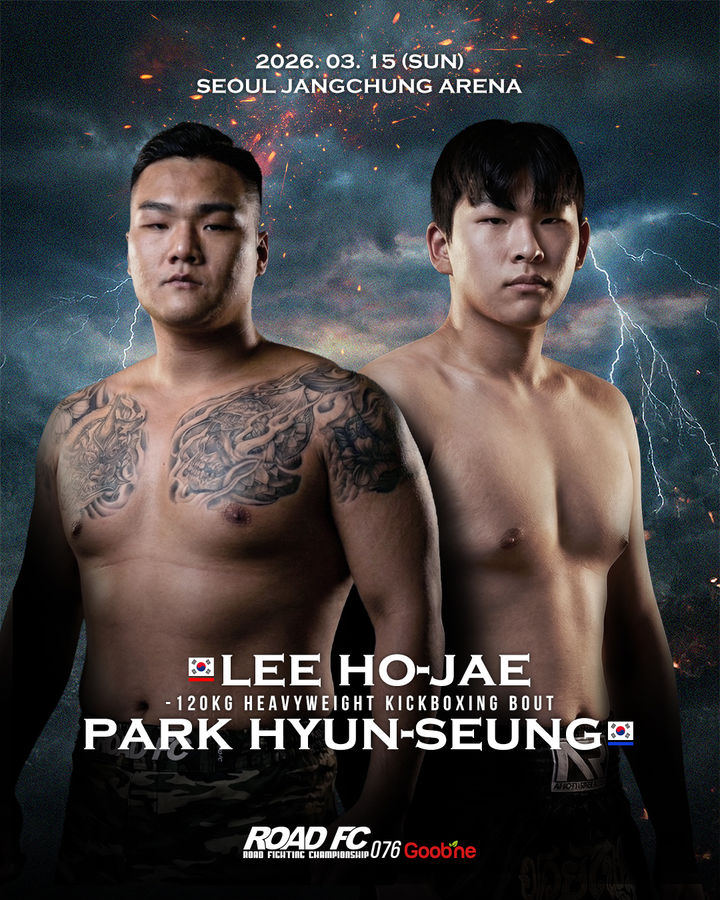 한국 스포츠, 격투기와 야구, 농구, 패럴림픽에서의 활약과 사건