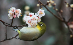 제주, 찬 공기 남하 아침기온 뚝…"큰 일교차 유의"