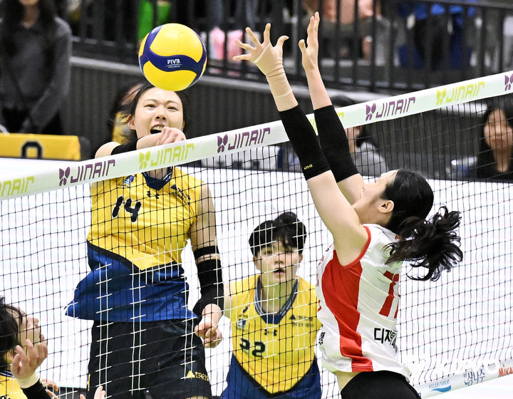 [오늘의 뉴스종합] 한국 스포츠, 양효진 은퇴식과 김윤지 동계패럴림픽 메달로 화제