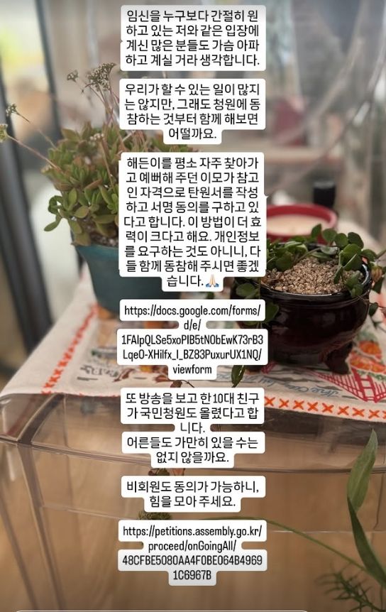 서동주, 학대로 숨진 영아 '해든이' 추모…청원 동참 호소