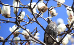 아침 영하권 추위…일교차 크고 미세먼지 '나쁨'