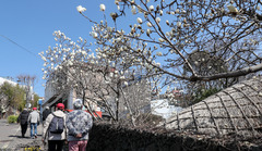 대체로 맑은 하늘에 평년 기온…큰 일교차 유의