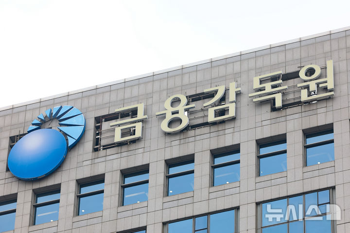 '단일종목 레버리지 ETF' 과잉매매 제한 검토