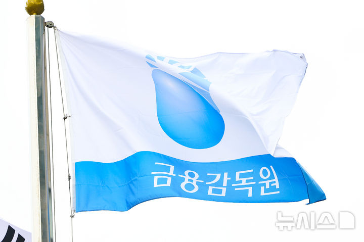 1위 대부업체도 해킹피해…당국 현장검사