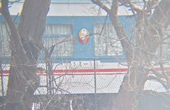 北-中 국경 밀수 경로 12곳 이상 다시 활발-NK뉴스 위성 사진 분석
