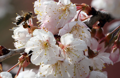 일교차 크고 구름 많은 하루…곳곳 미세먼지 '나쁨'