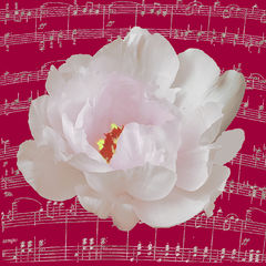 화가 김경자 "꽃과 음악으로 그린 자연의 리듬"[아트서울]