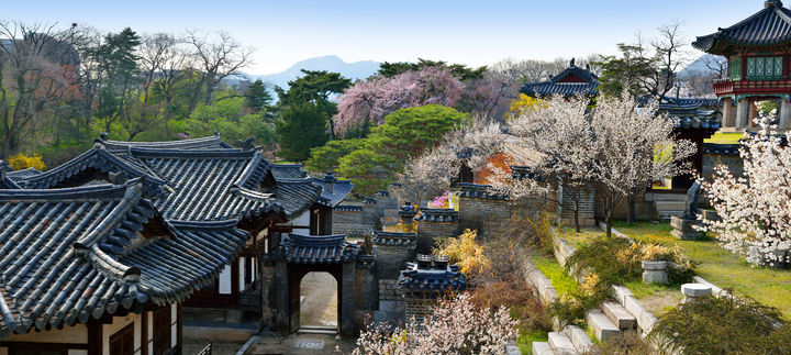 봄 품은 궁궐…경회루 오르고 낙선재 꽃담·창경궁 해설까지